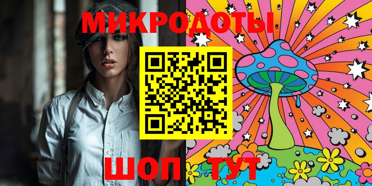 Псилоцибиновые грибы Psilocybine cubensis Брянск