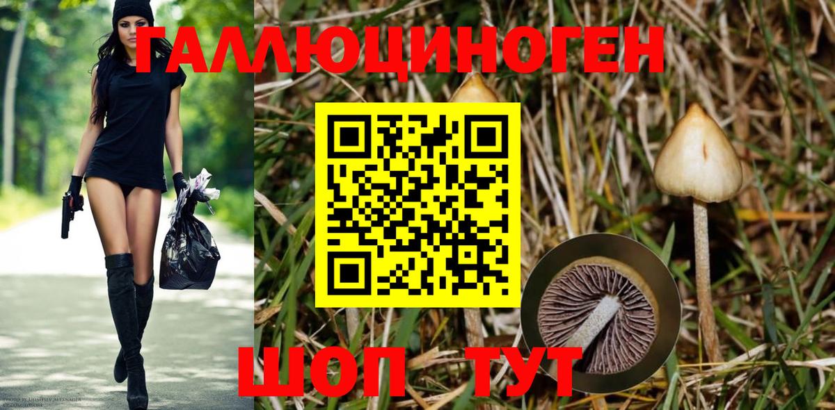 Брянск  Галлюциногенные грибы ЛСД  Вход с VPN 